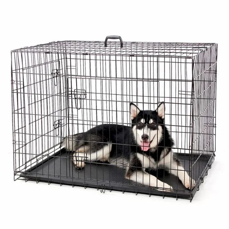 Grande cage en fer pour chien en métal solide