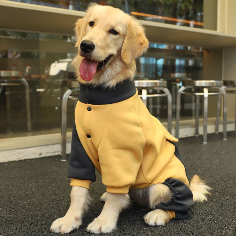 Manteau pour grand chien de compagnie