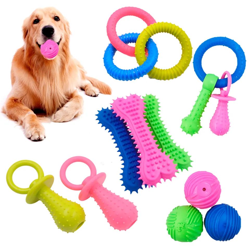 Jouet pour animaux de compagnie à mâcher pour chien, nettoyage des dents en Tpr doux